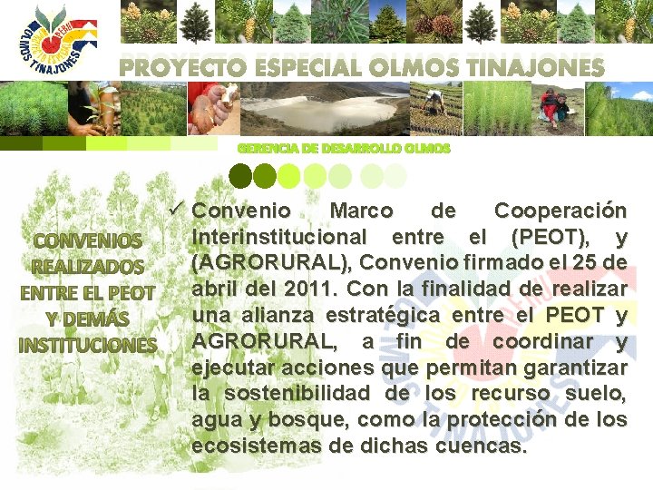 PROYECTO ESPECIAL OLMOS TINAJONES GERENCIA DE DESARROLLO OLMOS ü Convenio Marco de Cooperación Interinstitucional