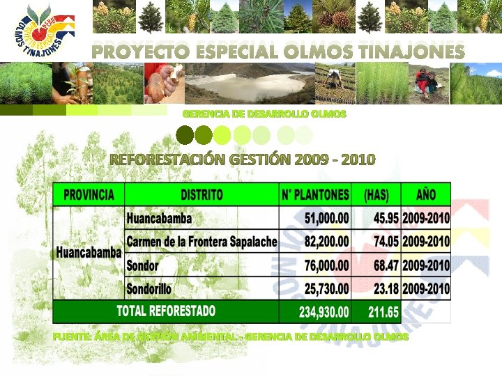 PROYECTO ESPECIAL OLMOS TINAJONES GERENCIA DE DESARROLLO OLMOS REFORESTACIÓN GESTIÓN 2009 - 2010 FUENTE: