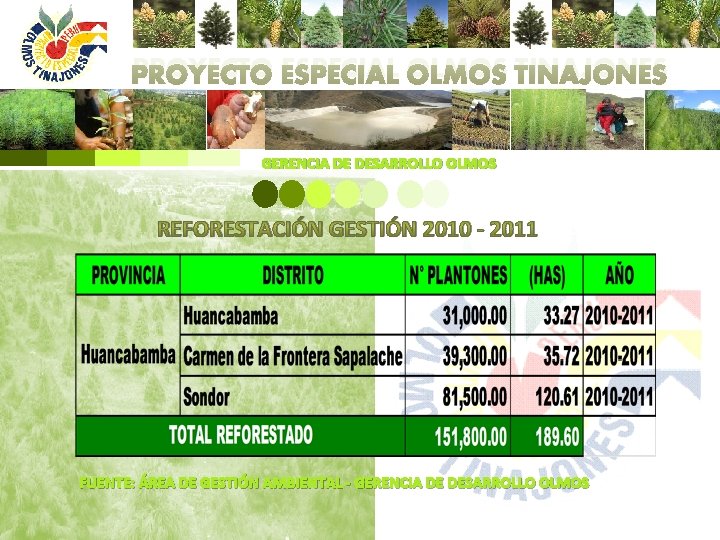 PROYECTO ESPECIAL OLMOS TINAJONES GERENCIA DE DESARROLLO OLMOS REFORESTACIÓN GESTIÓN 2010 - 2011 FUENTE: