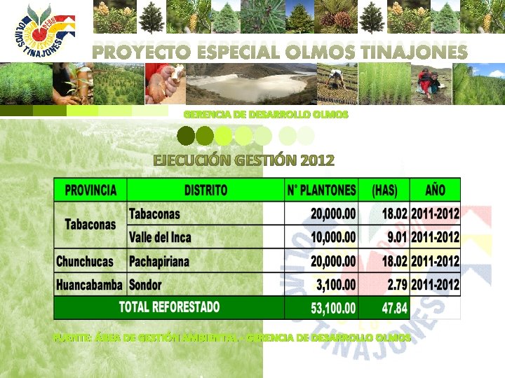 PROYECTO ESPECIAL OLMOS TINAJONES GERENCIA DE DESARROLLO OLMOS EJECUCIÓN GESTIÓN 2012 FUENTE: ÁREA DE