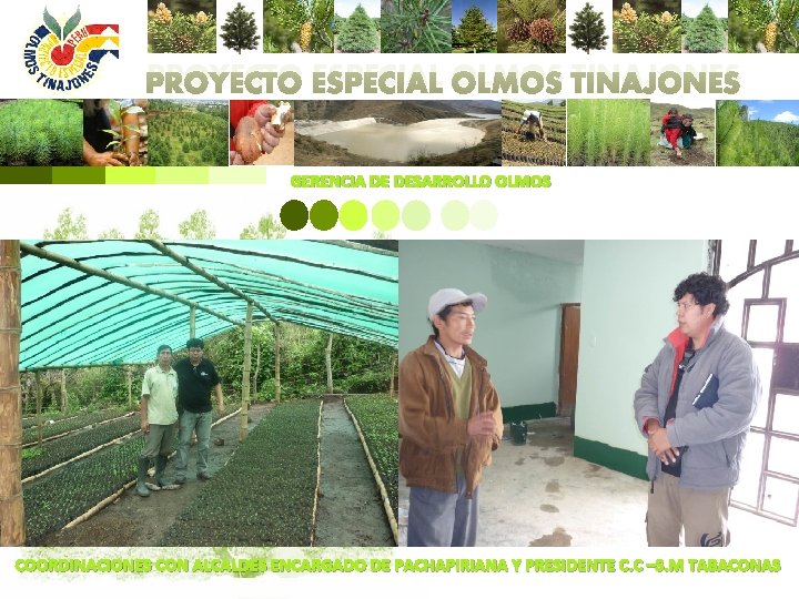 PROYECTO ESPECIAL OLMOS TINAJONES GERENCIA DE DESARROLLO OLMOS COORDINACIONES CON ALCALDES ENCARGADO DE PACHAPIRIANA