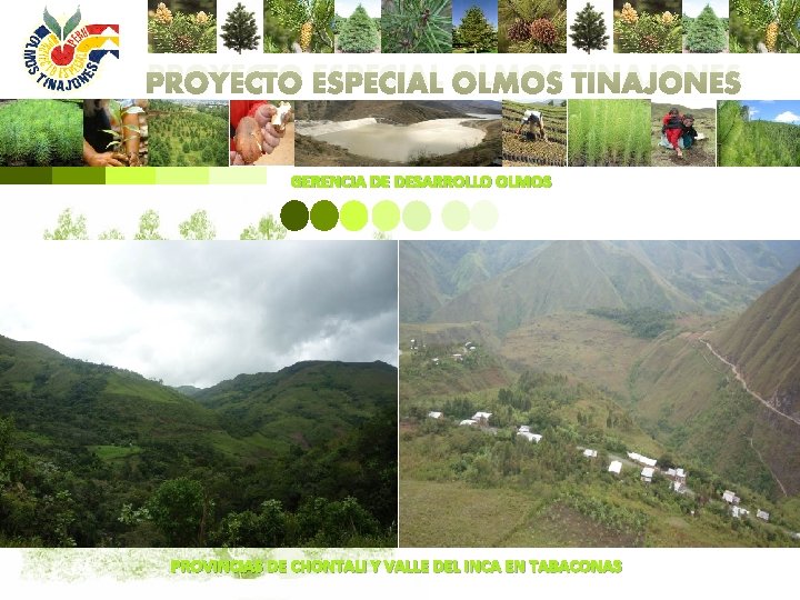 PROYECTO ESPECIAL OLMOS TINAJONES GERENCIA DE DESARROLLO OLMOS PROVINCIAS DE CHONTALI Y VALLE DEL