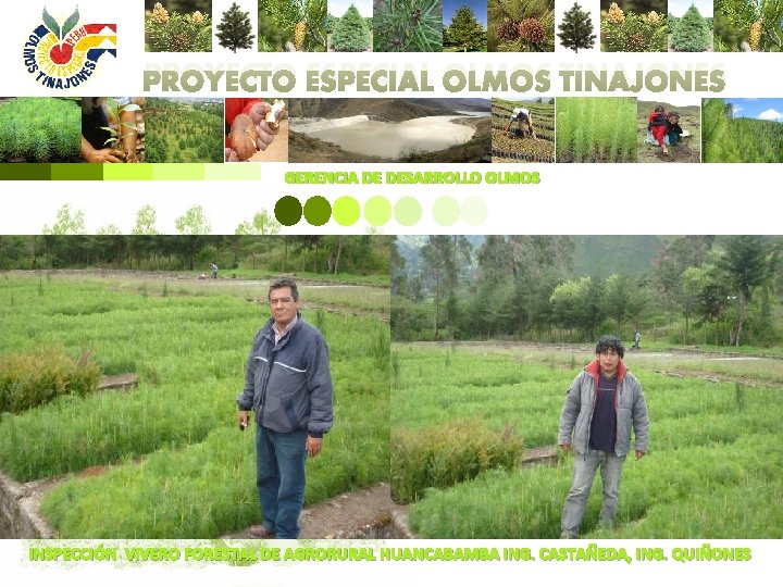 PROYECTO ESPECIAL OLMOS TINAJONES GERENCIA DE DESARROLLO OLMOS INSPECCIÓN VIVERO FORESTAL DE AGRORURAL HUANCABAMBA