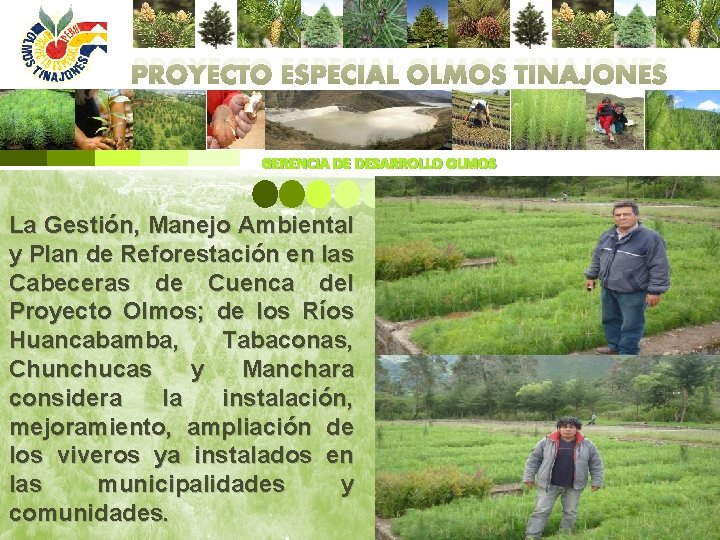 PROYECTO ESPECIAL OLMOS TINAJONES GERENCIA DE DESARROLLO OLMOS La Gestión, Manejo Ambiental y Plan