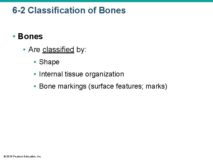 6 -2 Classification of Bones • Are classified by: • Shape • Internal tissue