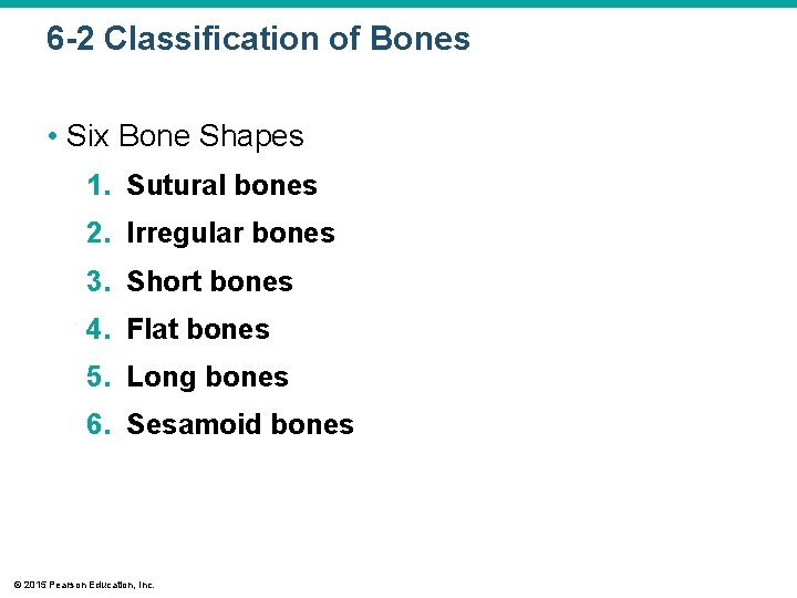 6 -2 Classification of Bones • Six Bone Shapes 1. Sutural bones 2. Irregular