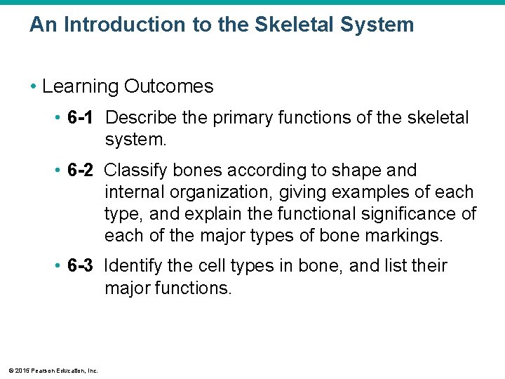 An Introduction to the Skeletal System • Learning Outcomes • 6 -1 Describe the