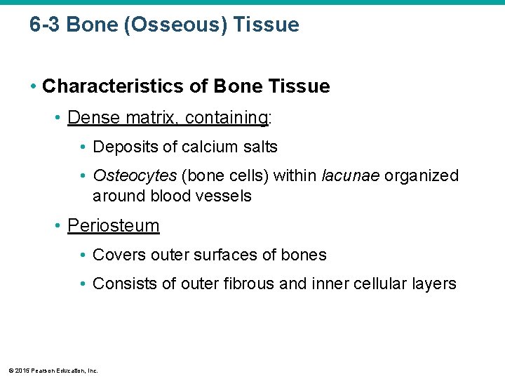 6 -3 Bone (Osseous) Tissue • Characteristics of Bone Tissue • Dense matrix, containing: