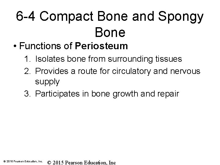 6 -4 Compact Bone and Spongy Bone • Functions of Periosteum 1. Isolates bone