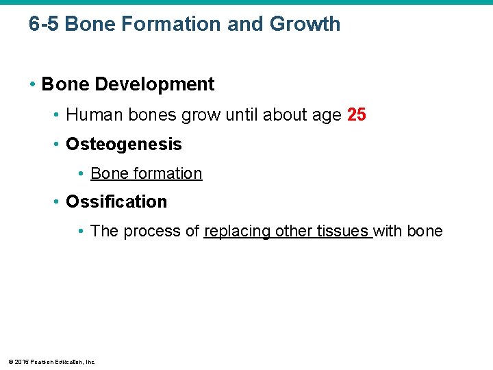 6 -5 Bone Formation and Growth • Bone Development • Human bones grow until