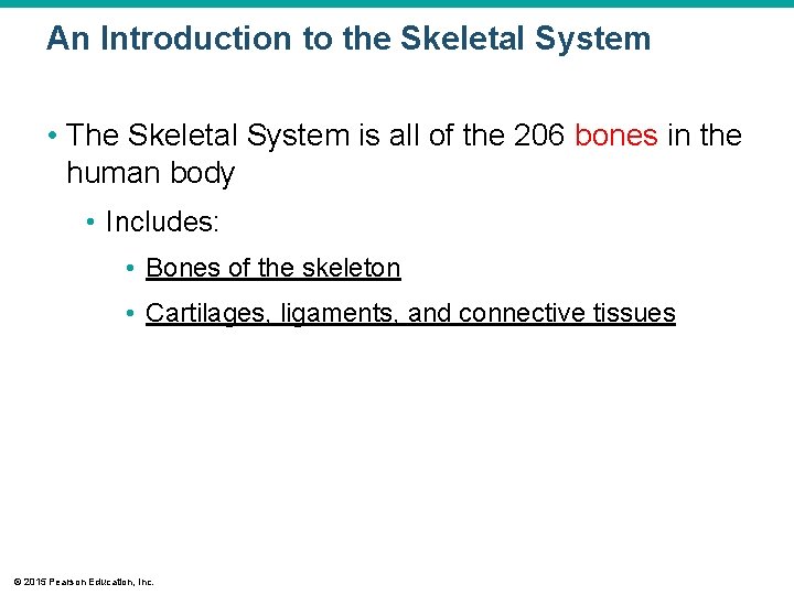 An Introduction to the Skeletal System • The Skeletal System is all of the