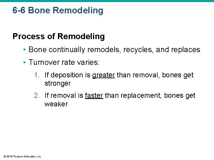 6 -6 Bone Remodeling Process of Remodeling • Bone continually remodels, recycles, and replaces