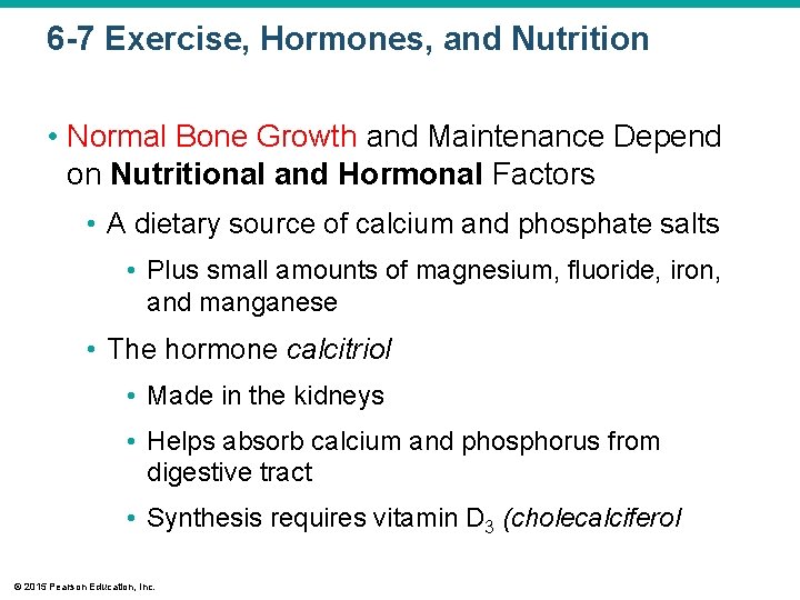 6 -7 Exercise, Hormones, and Nutrition • Normal Bone Growth and Maintenance Depend on