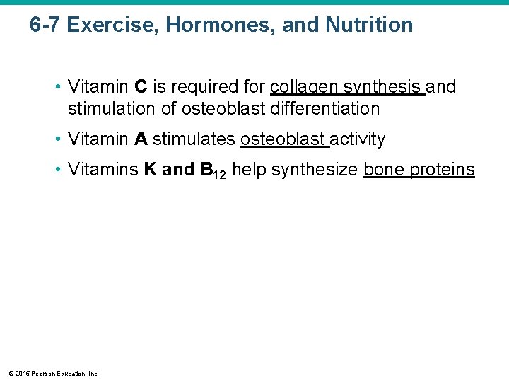6 -7 Exercise, Hormones, and Nutrition • Vitamin C is required for collagen synthesis