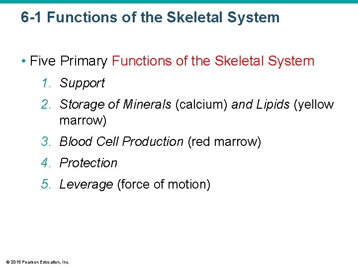 6 -1 Functions of the Skeletal System • Five Primary Functions of the Skeletal