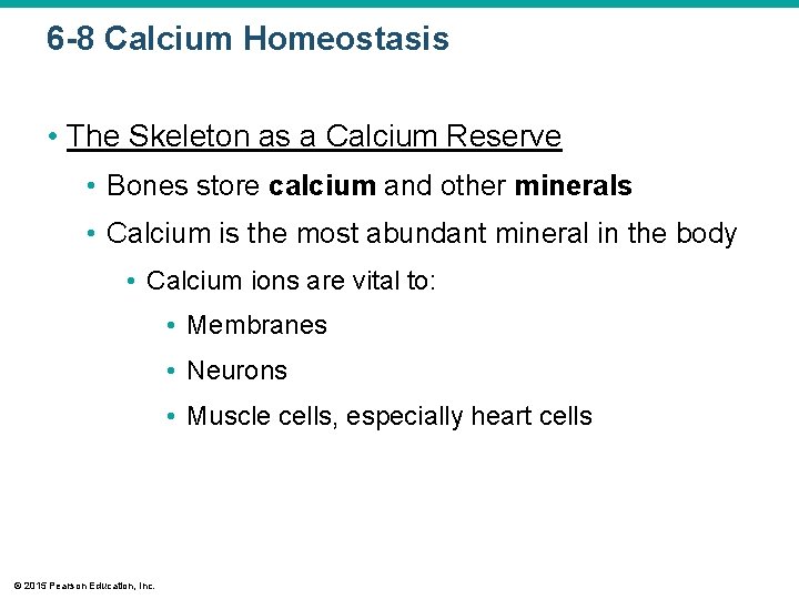 6 -8 Calcium Homeostasis • The Skeleton as a Calcium Reserve • Bones store