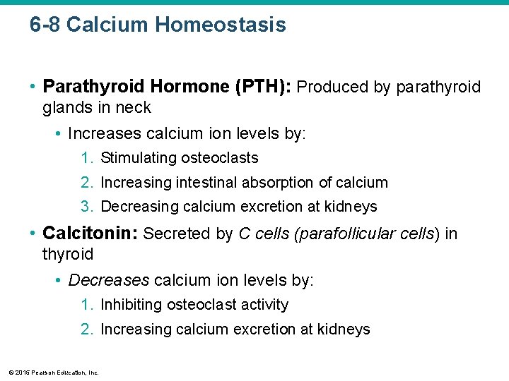 6 -8 Calcium Homeostasis • Parathyroid Hormone (PTH): Produced by parathyroid glands in neck