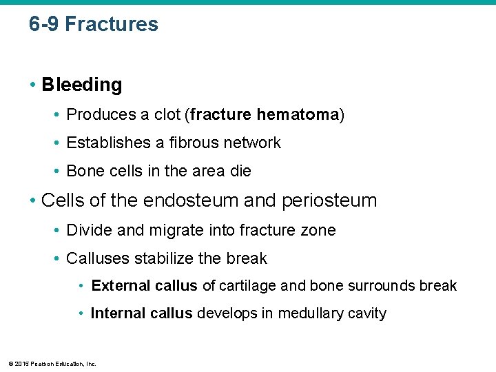 6 -9 Fractures • Bleeding • Produces a clot (fracture hematoma) • Establishes a