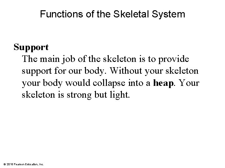 Functions of the Skeletal System Support The main job of the skeleton is to