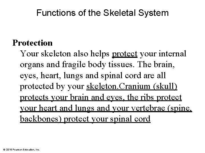 Functions of the Skeletal System Protection Your skeleton also helps protect your internal organs