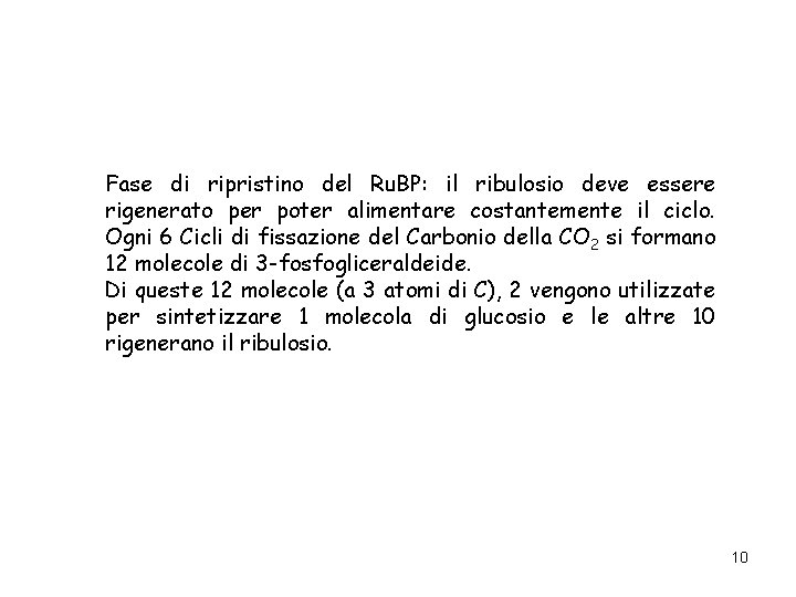 Fase di ripristino del Ru. BP: il ribulosio deve essere rigenerato per poter alimentare