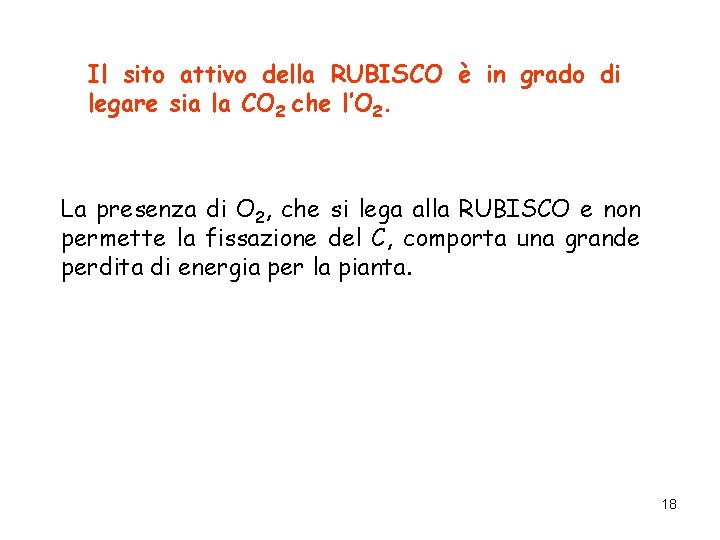 Il sito attivo della RUBISCO è in grado di legare sia la CO 2