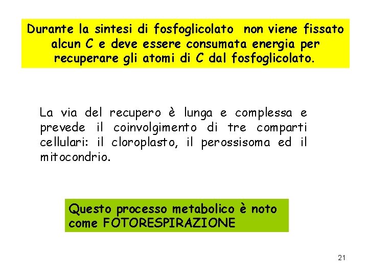 Durante la sintesi di fosfoglicolato non viene fissato alcun C e deve essere consumata