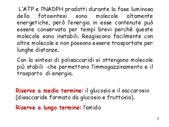 L’ATP e l’NADPH prodotti durante la fase luminosa della fotosintesi sono molecole altamente energetiche,