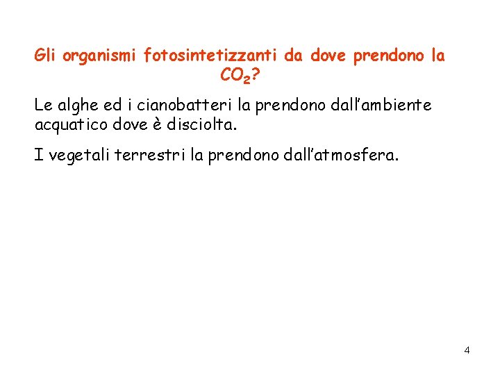 Gli organismi fotosintetizzanti da dove prendono la CO 2? Le alghe ed i cianobatteri