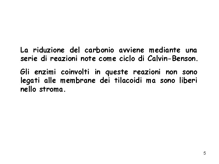 La riduzione del carbonio avviene mediante una serie di reazioni note come ciclo di