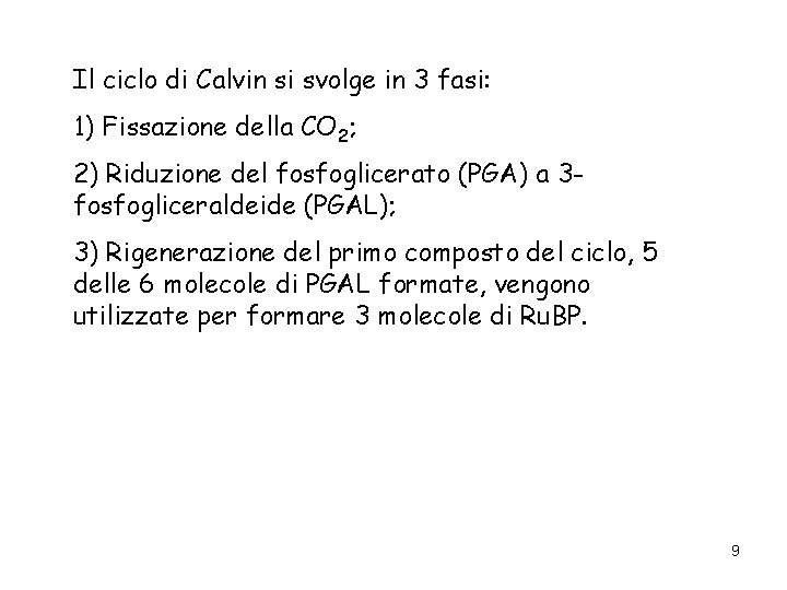 Il ciclo di Calvin si svolge in 3 fasi: 1) Fissazione della CO 2;