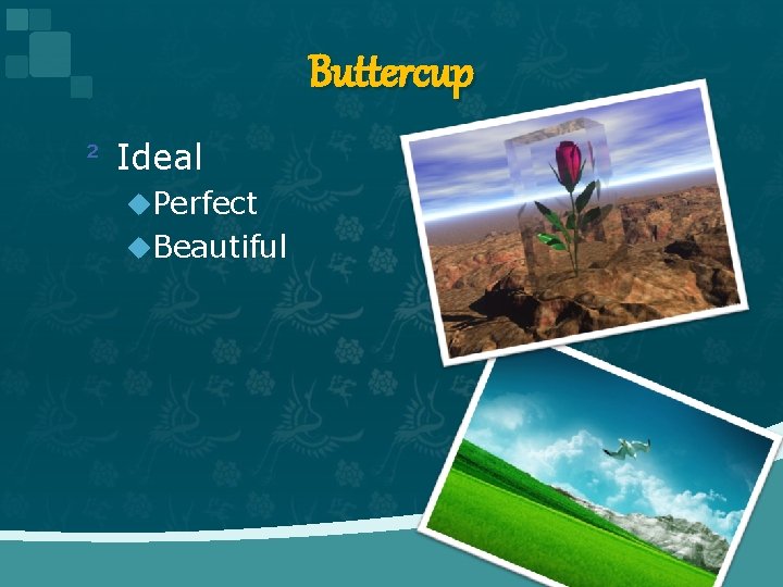 Buttercup ² Ideal u. Perfect u. Beautiful 