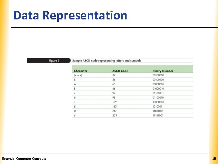 Data Representation Essential Computer Concepts XP 10 