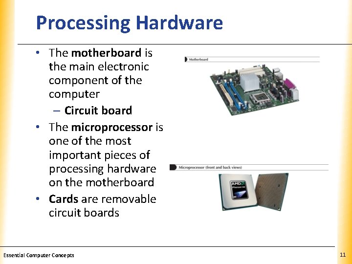 Processing Hardware XP • The motherboard is the main electronic component of the computer