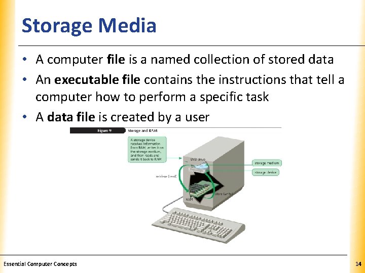 Storage Media XP • A computer file is a named collection of stored data