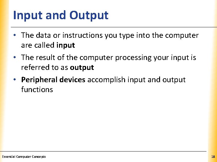 Input and Output XP • The data or instructions you type into the computer