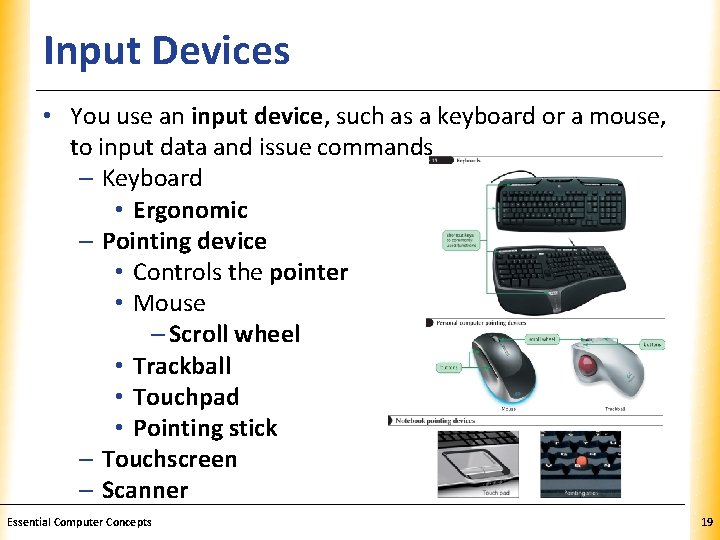 Input Devices XP • You use an input device, such as a keyboard or