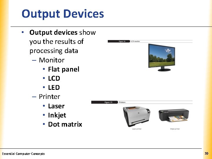 Output Devices XP • Output devices show you the results of processing data –