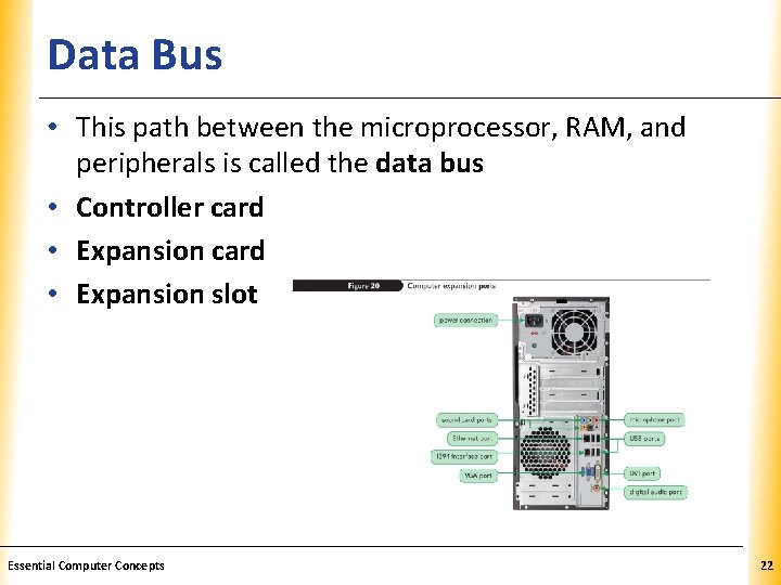 Data Bus XP • This path between the microprocessor, RAM, and peripherals is called