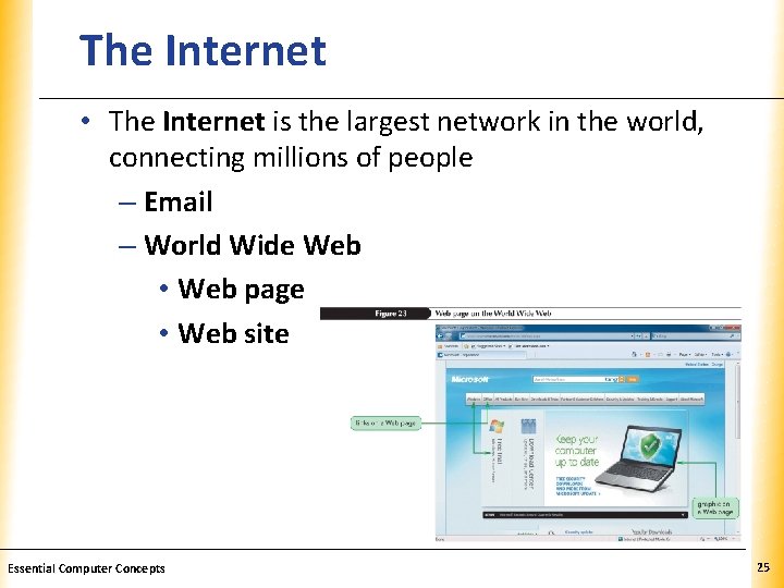The Internet XP • The Internet is the largest network in the world, connecting