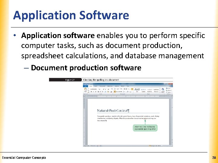 Application Software XP • Application software enables you to perform specific computer tasks, such