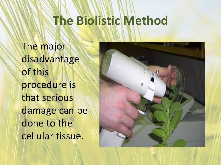 The Biolistic Method The major disadvantage of this procedure is that serious damage can