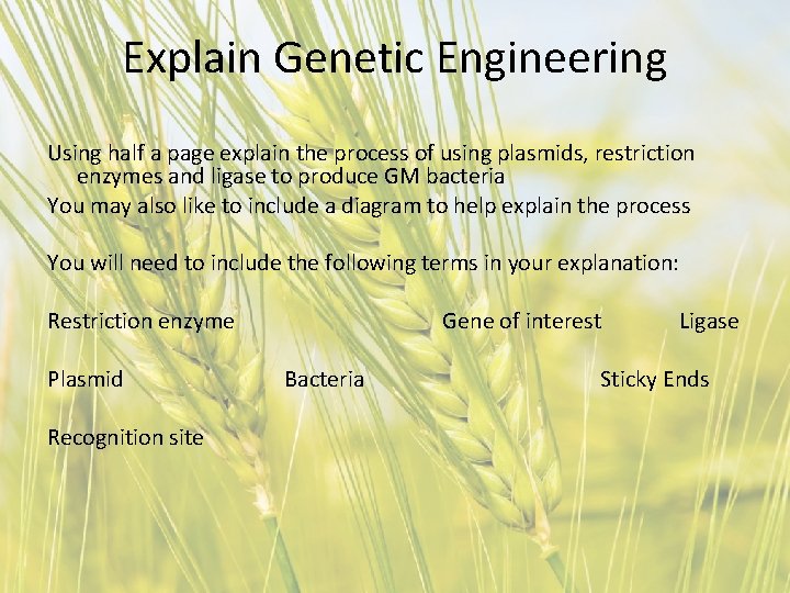 Explain Genetic Engineering Using half a page explain the process of using plasmids, restriction