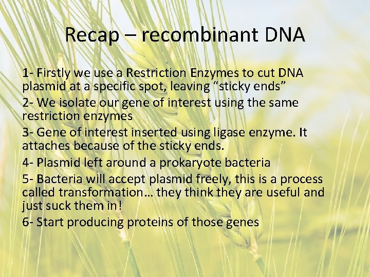 Recap – recombinant DNA 1 - Firstly we use a Restriction Enzymes to cut