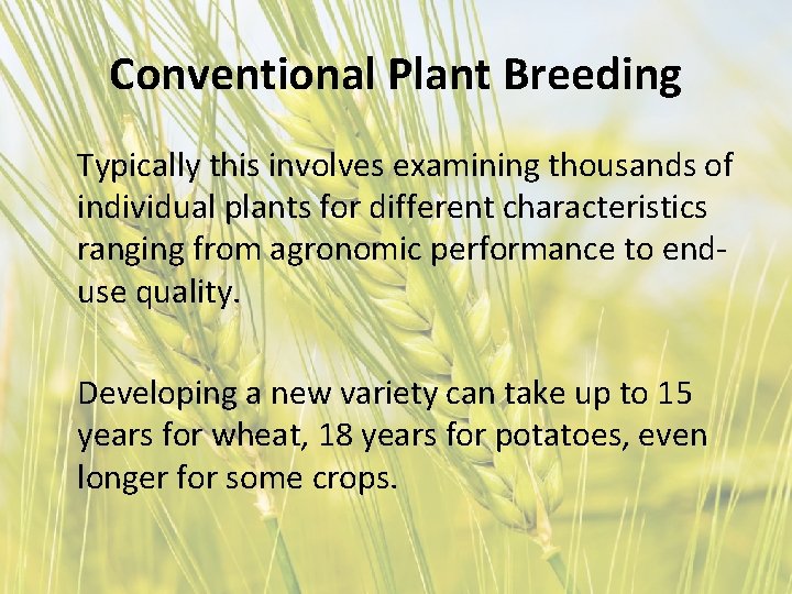 Engineered Plants Conventional Plant Breeding Conventional