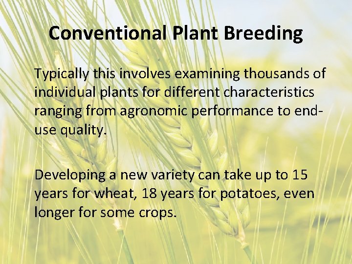 Conventional Plant Breeding Typically this involves examining thousands of individual plants for different characteristics