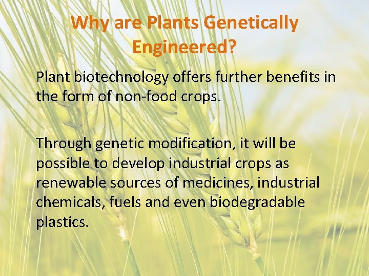 Why are Plants Genetically Engineered? Plant biotechnology offers further benefits in the form of