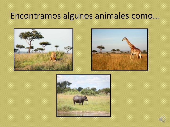 Encontramos algunos animales como… 