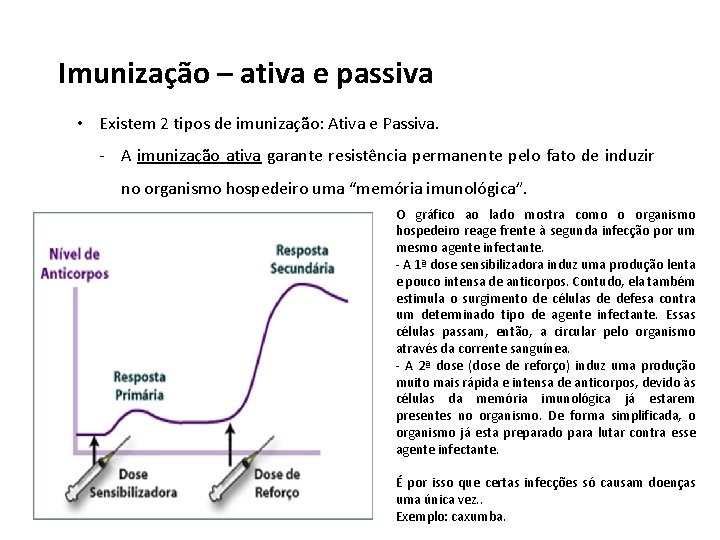 Imunização – ativa e passiva • Existem 2 tipos de imunização: Ativa e Passiva.