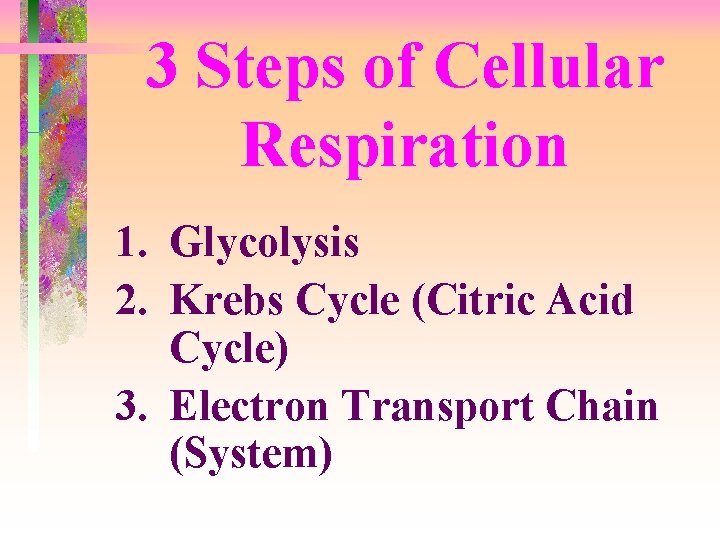 3 Steps of Cellular Respiration 1. Glycolysis 2. Krebs Cycle (Citric Acid Cycle) 3.